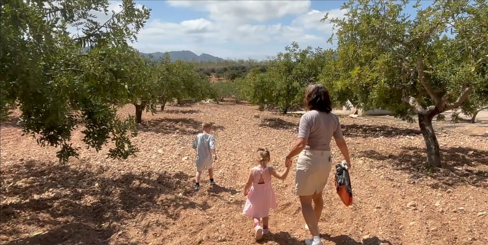Johannesbroodboom op het platteland van Murcia